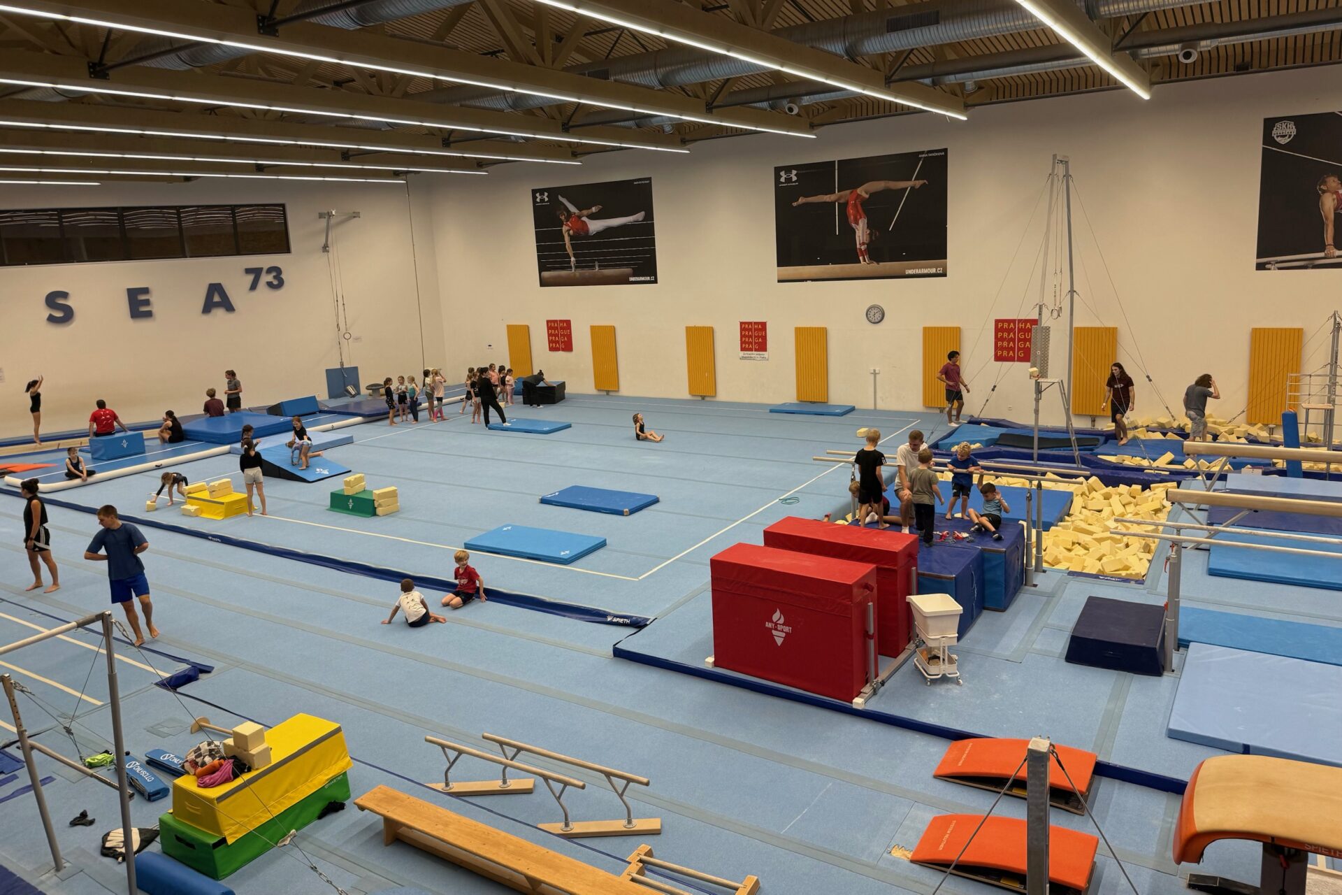 Český sport ztrácí dech: Kluby slábnou, trenéři i funkcionáři stárnou